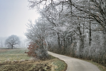 20250204_171506.jpg