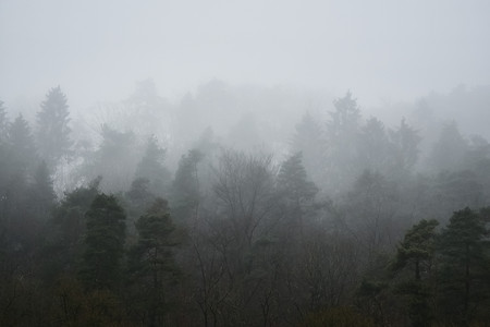 20250205_165719.jpg