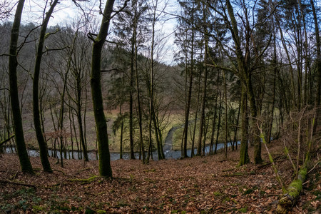 20250207_160412.jpg