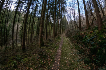 20250207_160613.jpg
