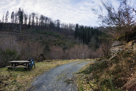 20250207_161318.jpg