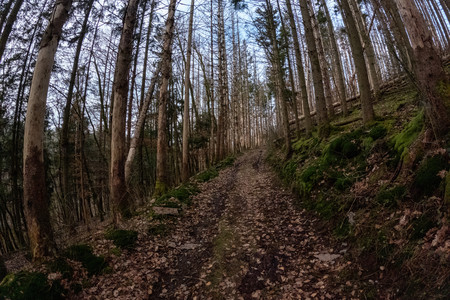 20250207_162041.jpg