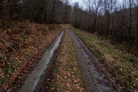20250207_170830.jpg
