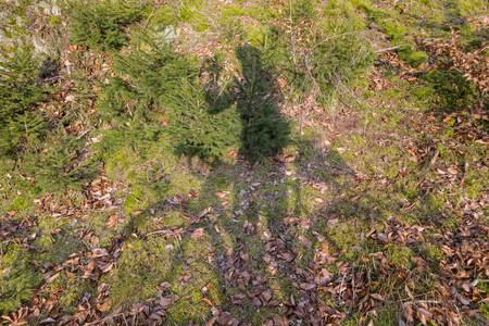 20250208_163631.jpg