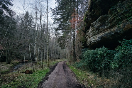 20250208_174926.jpg