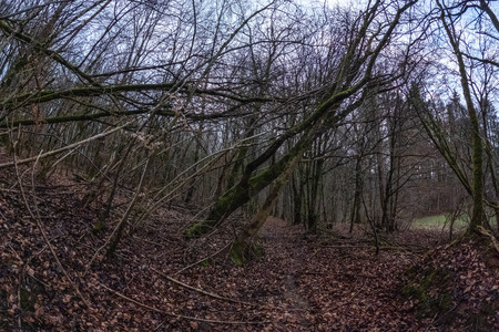 20250209_170032.jpg
