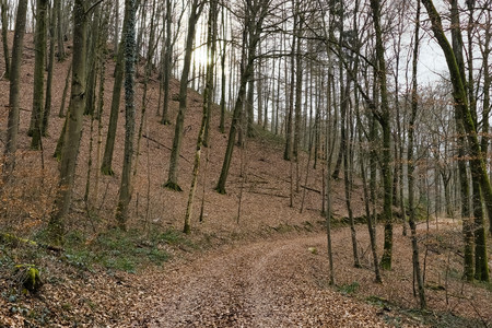 20250215_161302.jpg