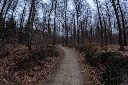 20250215_173844.jpg