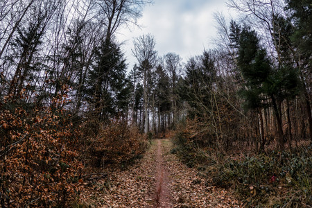 20250216_163658.jpg