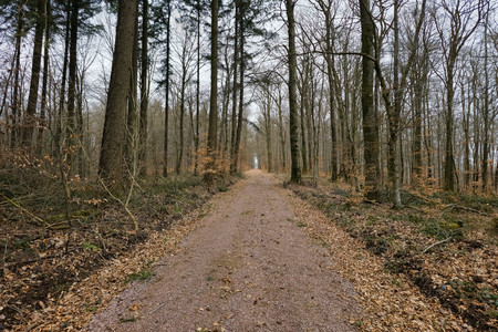 20250216_163740.jpg