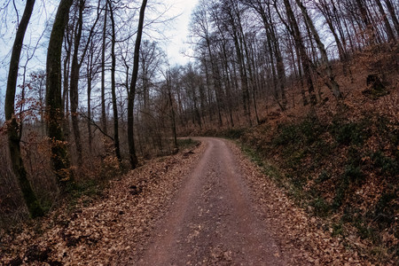 20250216_164708.jpg