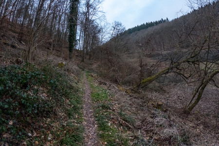 20250216_171556.jpg