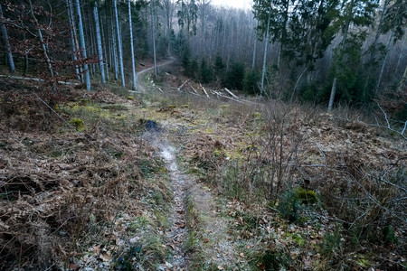 20250218_180603.jpg