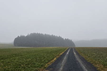 20250220_164514.jpg