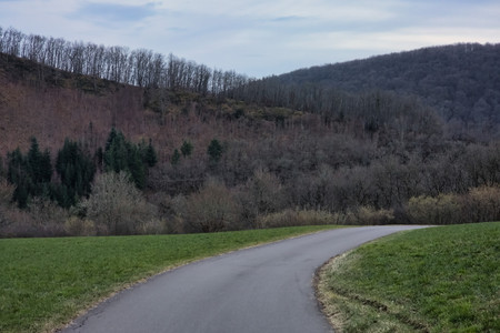 20250221_181026.jpg