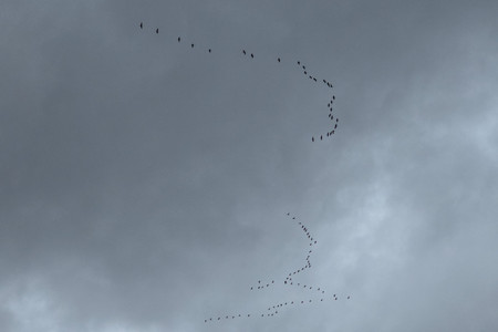 20250222_150344.jpg