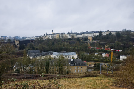 20250225_114059.jpg