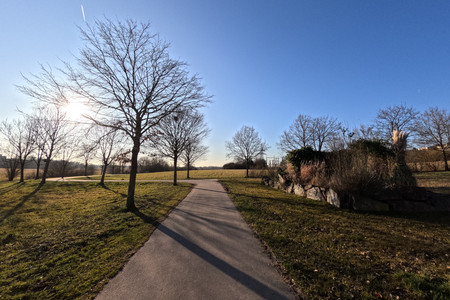 20250305_164725.jpg