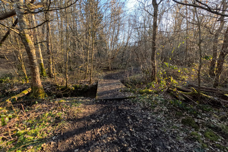 20250305_170231.jpg