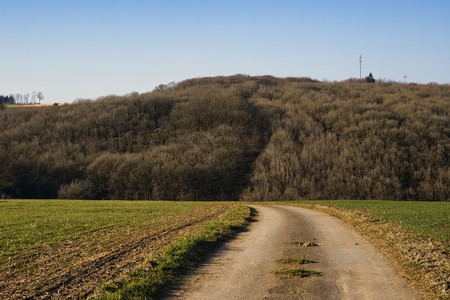 20250306_163506.jpg