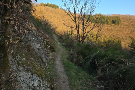 20250306_173045.jpg