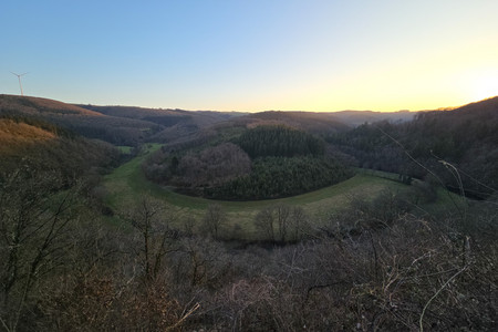20250306_180440.jpg