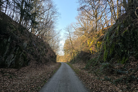 20250307_161655.jpg
