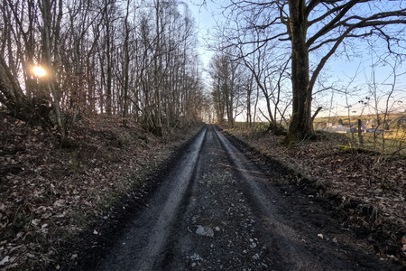 20250307_164458.jpg