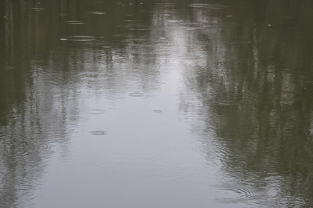 20250310_163930.jpg