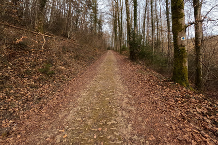 20250312_175237.jpg
