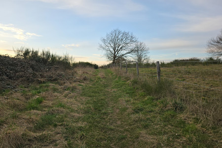 20250312_181010.jpg