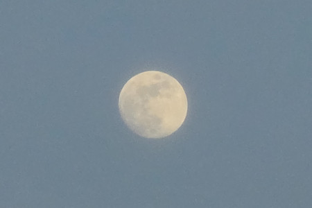 20250312_182136.jpg
