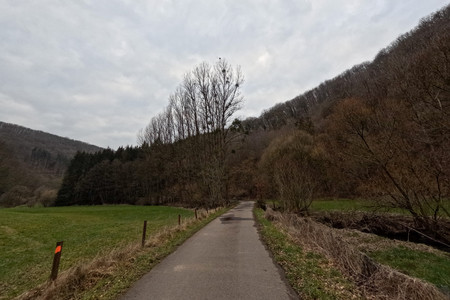 20250314_164644.jpg