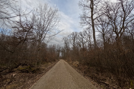 20250315_163747.jpg
