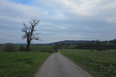 20250315_171953.jpg