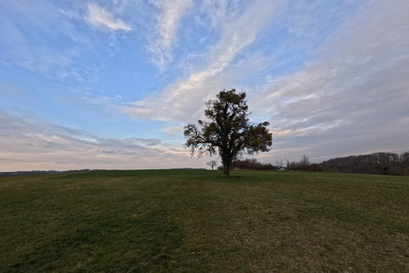 20250315_173117.jpg