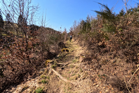 20250316_131720.jpg