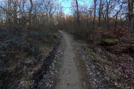 20250319_180903.jpg