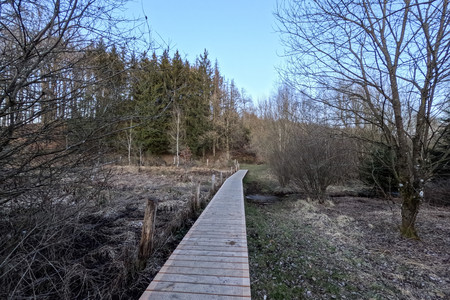20250320_183410.jpg