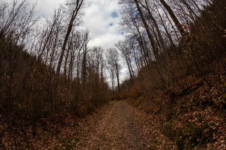 20250323_162717.jpg