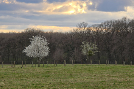 20250324_180149.jpg