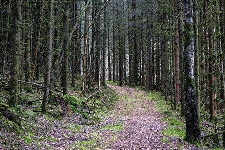 20250325_183254.jpg