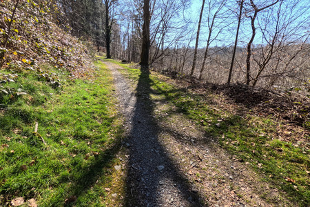 20250327_122550.jpg