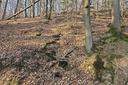 20250328_170536.jpg