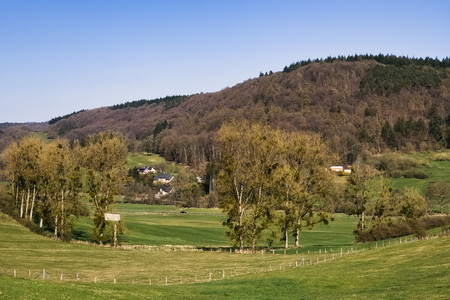 20250329_151848.jpg