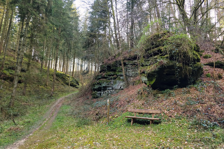 20250330_182606.jpg