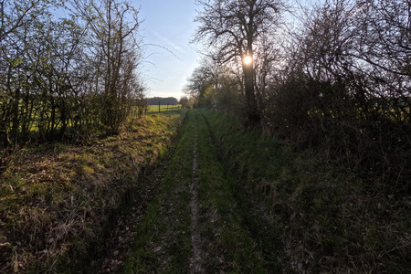20250403_181222.jpg