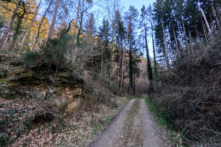 20250403_193021.jpg