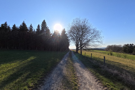 20250404_175019.jpg
