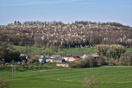 20250407_170419.jpg